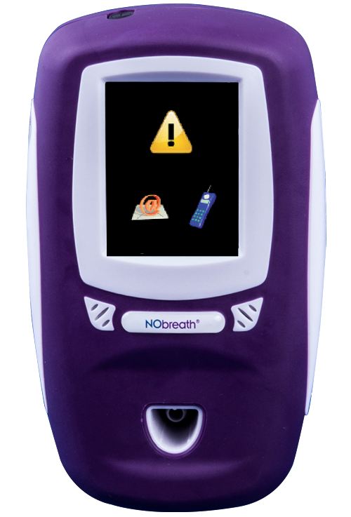 Why is there a rattling sound coming from inside my NObreath?